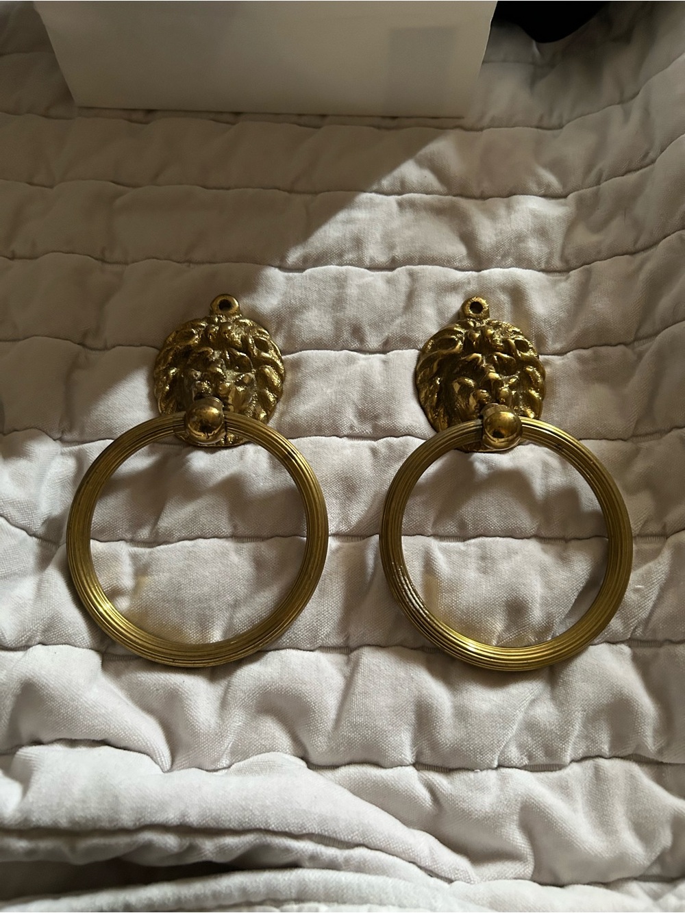 Brass Lion Head Towel Rings - Pair
